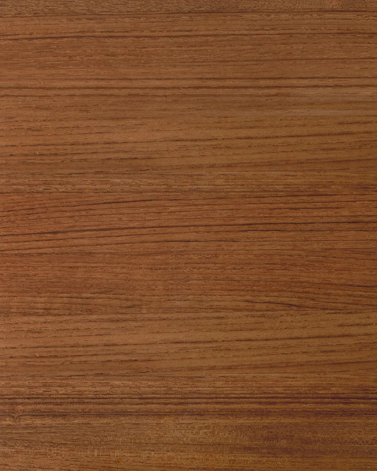 Warm Teak